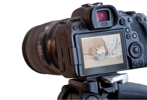 Expertise