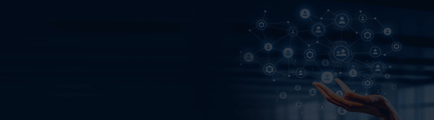 Insights Banner